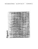 CELL CO-CULTURE FOR HAIR FOLLICLE PRODUCTION diagram and image