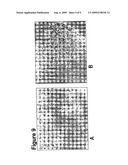 CELL CO-CULTURE FOR HAIR FOLLICLE PRODUCTION diagram and image