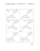 Protein Analysis Using A Polymethine Marker Dye diagram and image