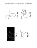 ASSAYING AND IMAGING SYSTEM IDENTIFYING TRAITS OF BIOLOGICAL SPECIMENS diagram and image