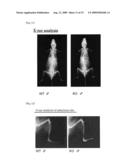 MODEL ANIMAL OF DENDRITIC CELL IMMUNORECEPTOR GENE KNOCKOUT DISEASE diagram and image