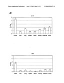 COMBINATION OF AN ANTI-EDB FIBRONECTIN ANTIBODY-IL-2 FUSION PROTEIN, AND A MOLECULE BINDING TO B CELLS, B CELL PROGENITORS AND/OR THEIR CANCEROUS COUNTERPART diagram and image