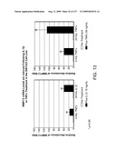 EXPRESSION OF ORPHAN GPR64 IN INFLAMMATORY DISEASES diagram and image