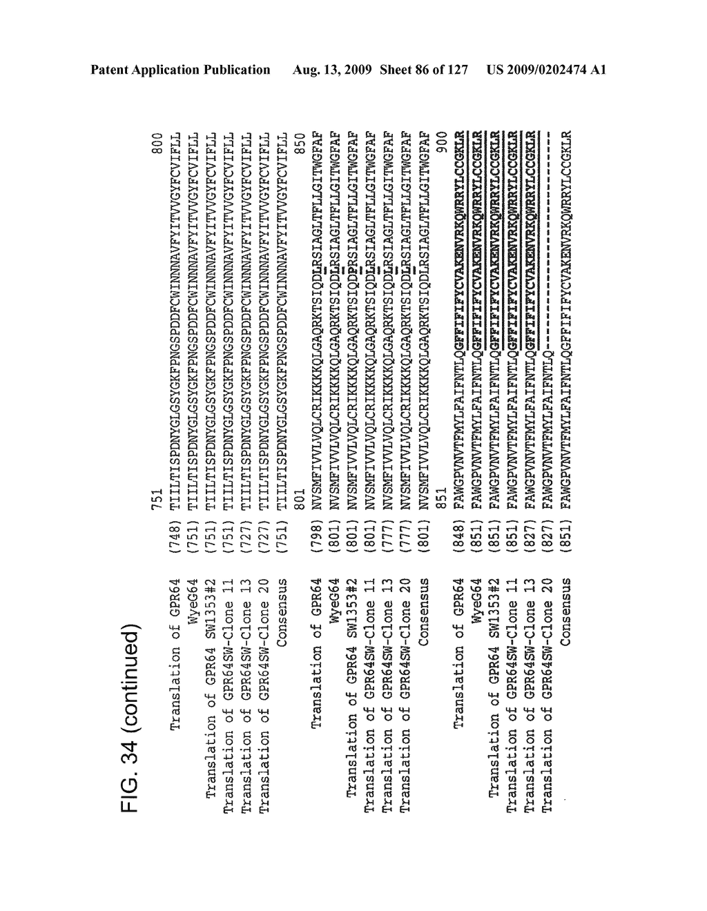 EXPRESSION OF ORPHAN GPR64 IN INFLAMMATORY DISEASES - diagram, schematic, and image 87