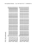 EXPRESSION OF ORPHAN GPR64 IN INFLAMMATORY DISEASES diagram and image