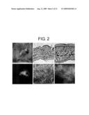 Pharmaceuticals That Promote Functional Regeneration of Damaged Tissues diagram and image