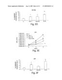 RIBONUCLEASE AND THIAZOLIDINEDIONE COMPOUNDS AND THEIR USE IN METHODS TO TREAT CANCER diagram and image