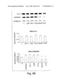 RIBONUCLEASE AND THIAZOLIDINEDIONE COMPOUNDS AND THEIR USE IN METHODS TO TREAT CANCER diagram and image