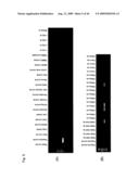 Identification of Tumor-Associated Antigens for Diagnosis and Therapy diagram and image