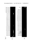 Identification of Tumor-Associated Antigens for Diagnosis and Therapy diagram and image