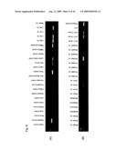 Identification of Tumor-Associated Antigens for Diagnosis and Therapy diagram and image