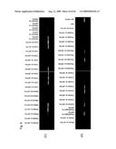 Identification of Tumor-Associated Antigens for Diagnosis and Therapy diagram and image