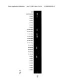 Identification of Tumor-Associated Antigens for Diagnosis and Therapy diagram and image