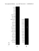 Identification of Tumor-Associated Antigens for Diagnosis and Therapy diagram and image