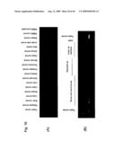 Identification of Tumor-Associated Antigens for Diagnosis and Therapy diagram and image