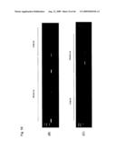 Identification of Tumor-Associated Antigens for Diagnosis and Therapy diagram and image