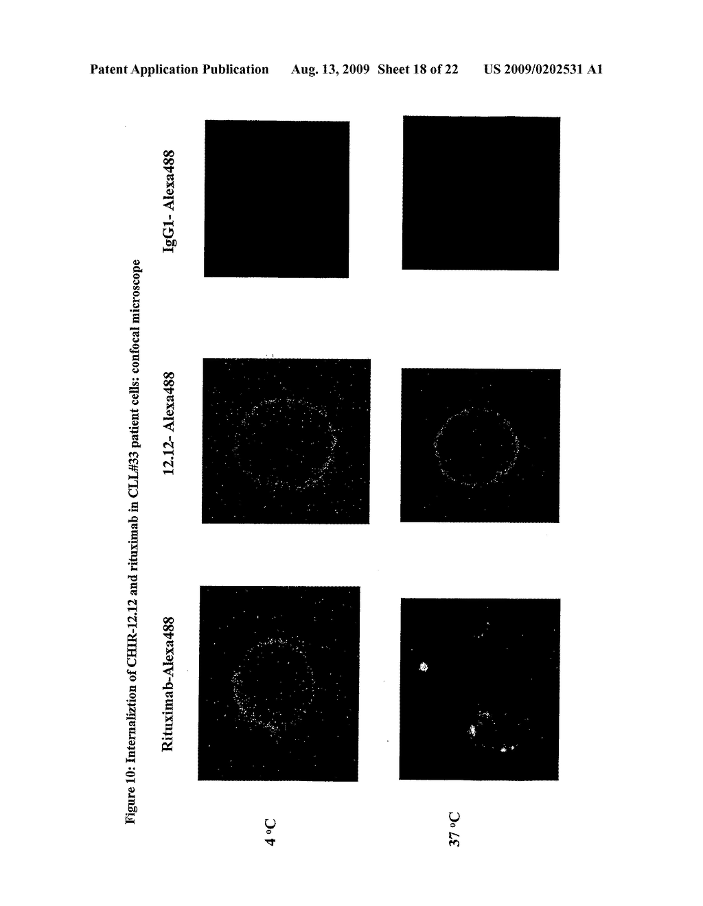 USES OF ANTI-CD40 ANTIBODIES - diagram, schematic, and image 19