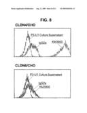 ANTI-CLAUDIN-4 ANTIBODY diagram and image