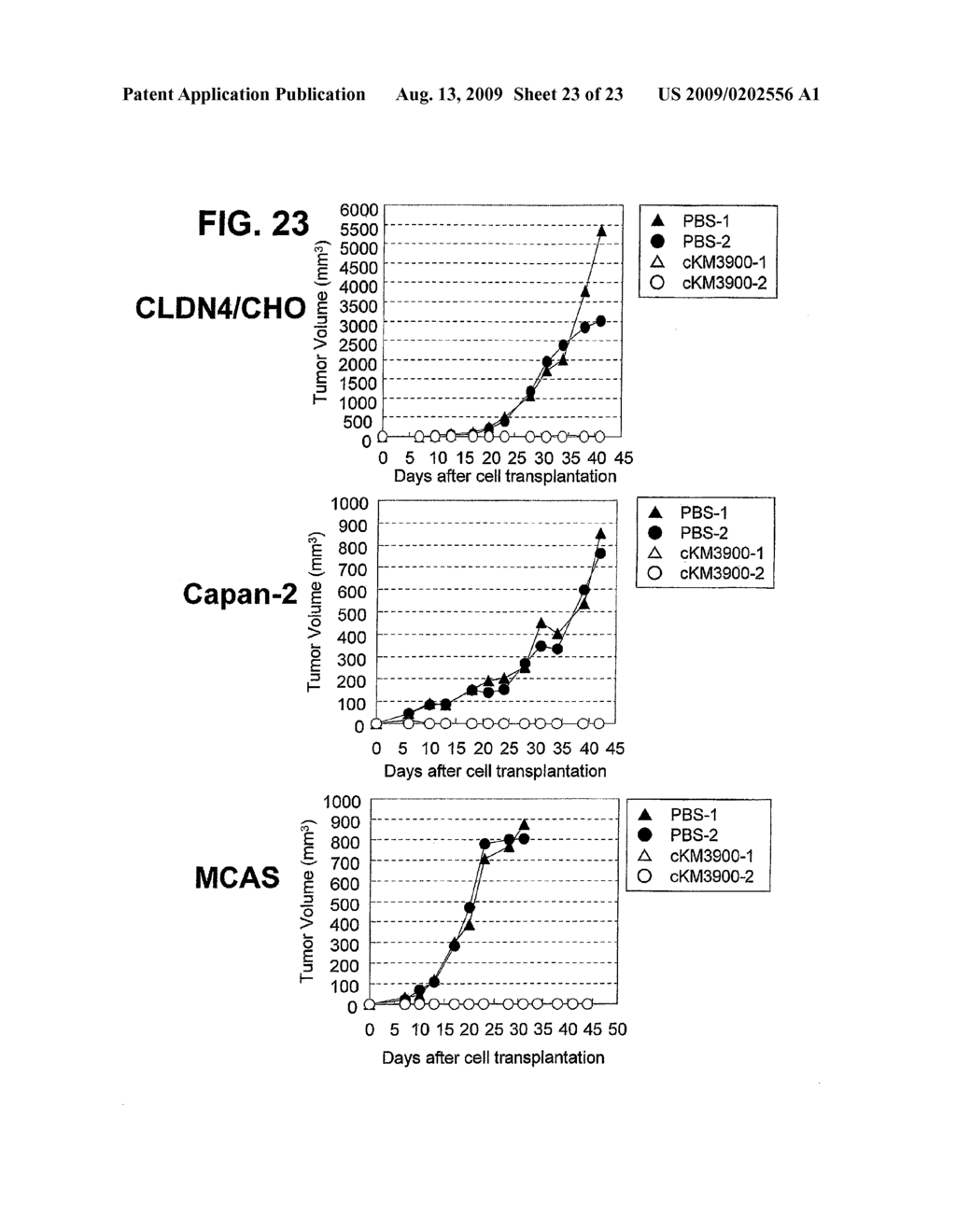 ANTI-CLAUDIN-4 ANTIBODY - diagram, schematic, and image 24