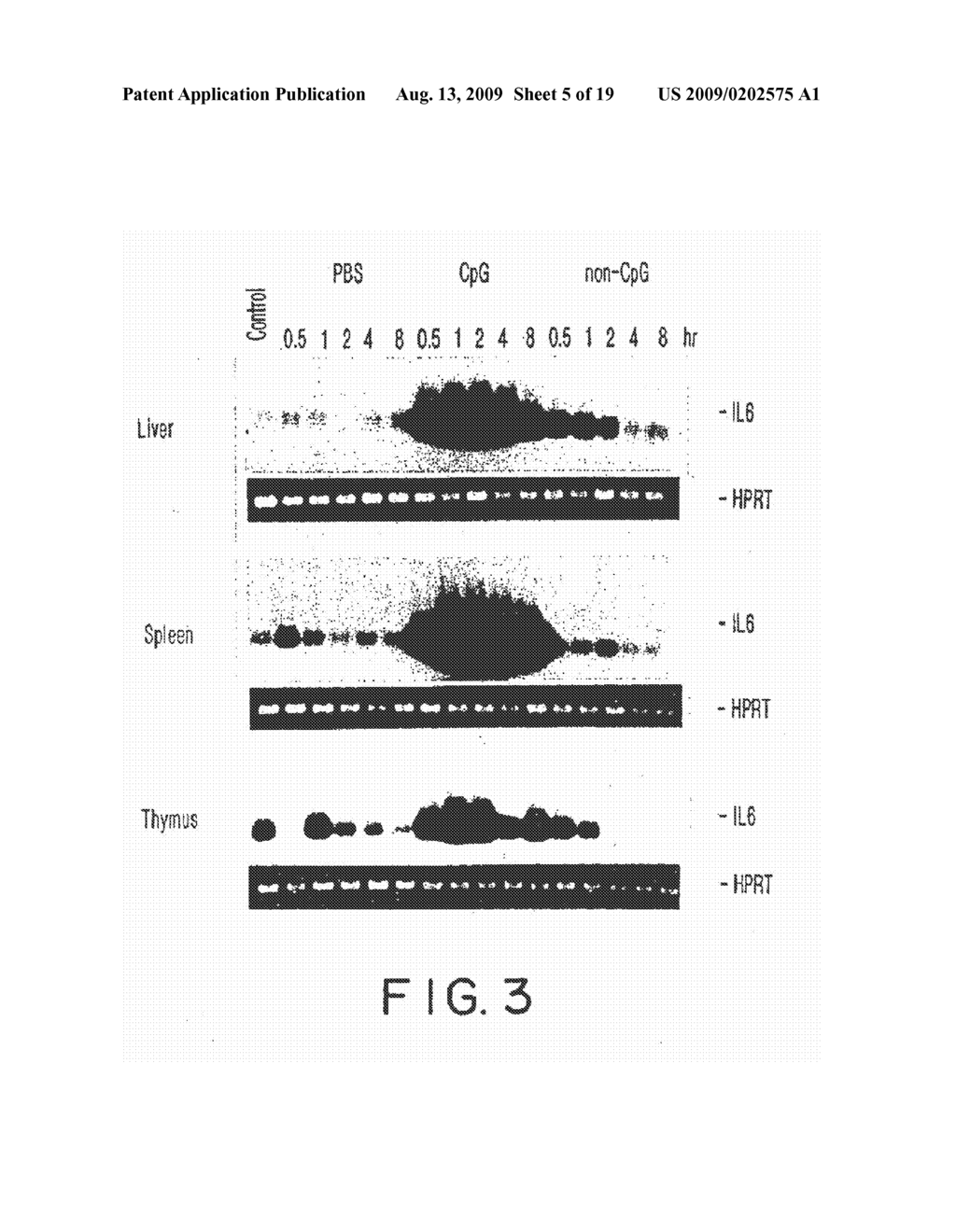 IMMUNOSTIMULATORY NUCLEIC ACID MOLECULES - diagram, schematic, and image 06