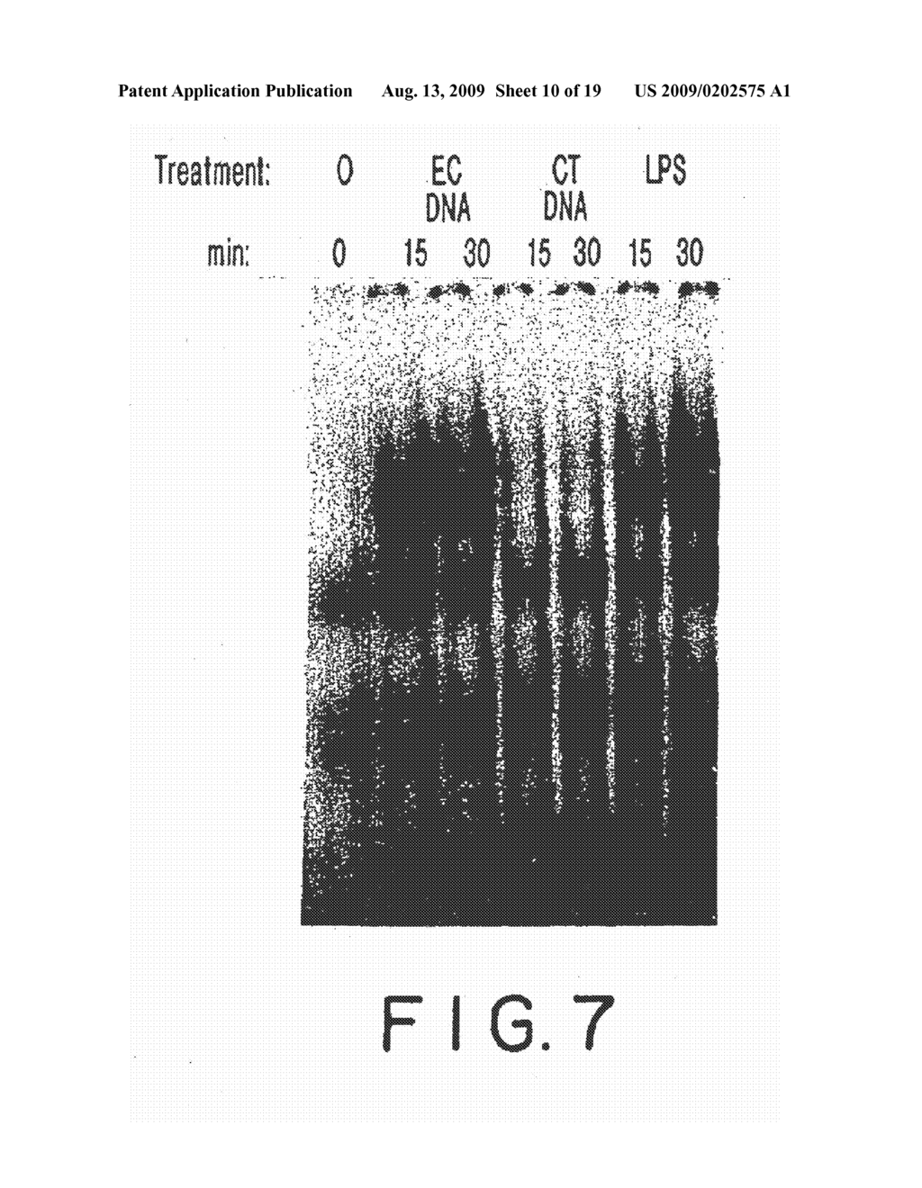 IMMUNOSTIMULATORY NUCLEIC ACID MOLECULES - diagram, schematic, and image 11