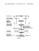 ATTENUATED VACCINE FOR TULAREMIA diagram and image