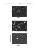 ATTENUATED VACCINE FOR TULAREMIA diagram and image