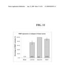 ANTI-PDEF ANTIBODIES AND USES THEREOF diagram and image