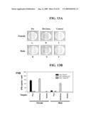 ANTI-PDEF ANTIBODIES AND USES THEREOF diagram and image