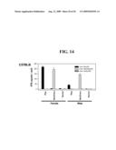 ANTI-PDEF ANTIBODIES AND USES THEREOF diagram and image