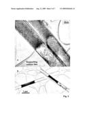 FUNCTIONAL NANOPARTICLE FILLED CARBON NANOTUBES AND METHODS OF THEIR PRODUCTION diagram and image