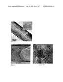 FUNCTIONAL NANOPARTICLE FILLED CARBON NANOTUBES AND METHODS OF THEIR PRODUCTION diagram and image