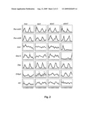 Modulation of Peripheral Clocks in Adipose Tissue diagram and image