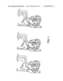 DECELLULARIZATION AND RECELLULARIZATION OF ORGANS AND TISSUES diagram and image