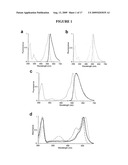 FLUORESCENT PROTEINS WITH INCREASED PHOTOSTABILITY diagram and image