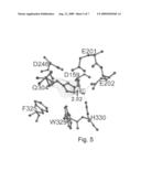 Crystal Structure Of Soluble Glutaminyl Cyclase diagram and image