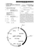 Process for Production of Optically Active Alcohol diagram and image