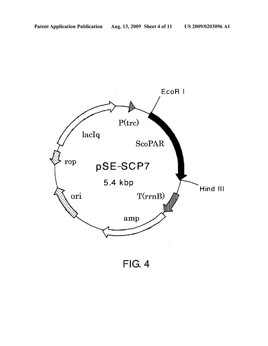 Process for Production of Optically Active Alcohol - diagram, schematic, and image 05