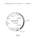 Process for Production of Optically Active Alcohol diagram and image