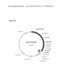 COMPOSITIONS AND METHODS FOR PRODUCING ISOPRENE diagram and image