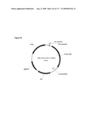 COMPOSITIONS AND METHODS FOR PRODUCING ISOPRENE diagram and image