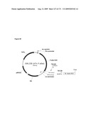 COMPOSITIONS AND METHODS FOR PRODUCING ISOPRENE diagram and image