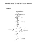 COMPOSITIONS AND METHODS FOR PRODUCING ISOPRENE diagram and image