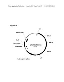 COMPOSITIONS AND METHODS FOR PRODUCING ISOPRENE diagram and image