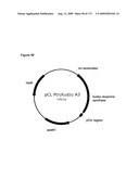 COMPOSITIONS AND METHODS FOR PRODUCING ISOPRENE diagram and image