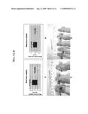 NUCLEIC ACID AGENTS FOR DOWNREGULATING H19, AND METHODS OF USING SAME diagram and image