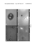 Fabrication of metallic hollow nanoparticles diagram and image