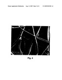 BIODEGRADABLE ALIPHATIC-POLYESTER FOR USE IN NONWOVEN WEBS diagram and image