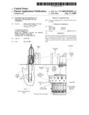 Machine for lung removal in poultry and method and use thererof diagram and image