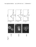 Method of classifying antibody, method of identifying antigen, method of obtaining antibody or antibody set, method of constructing antibody panel and antibody or antibody set and use of the same diagram and image